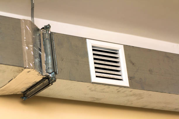 Best Affordable Duct Cleaning Services  in Romney, WV